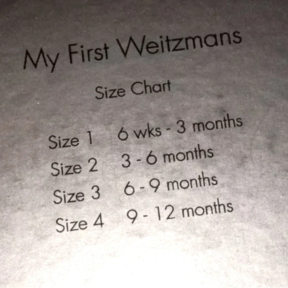 Stuart Weitzman 